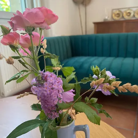 Tatil Evi Des Violettes